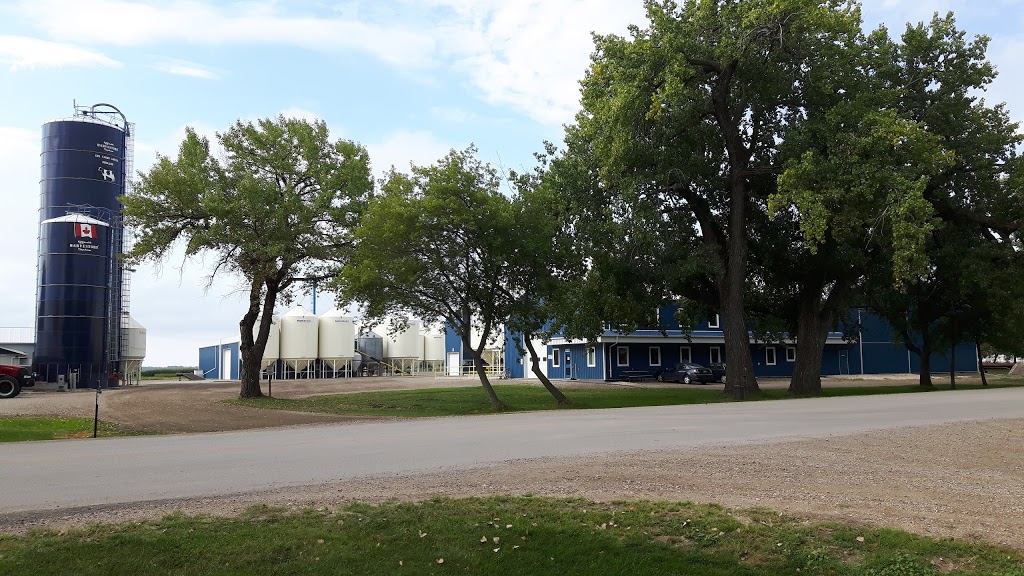 Ens Farms Ltd | 186 Reinland Ave, Reinland, MB R6W 4A1, Canada | Phone: (204) 325-4658
