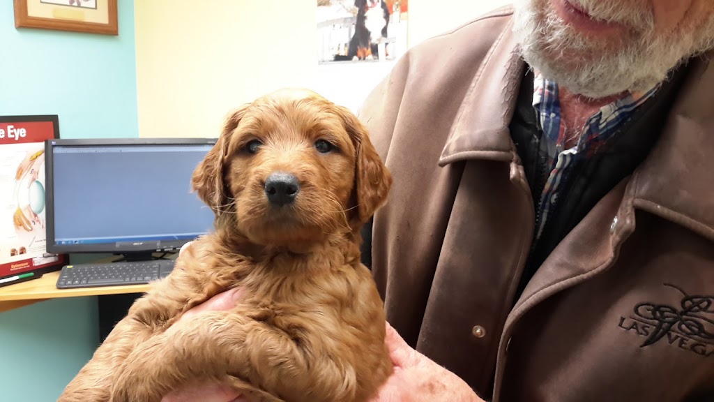 Parkland Veterinary Hospital Ltd | 4 Cuendet Ind. Wy #101, Sylvan Lake, AB T4S 2J7, Canada | Phone: (403) 864-6402