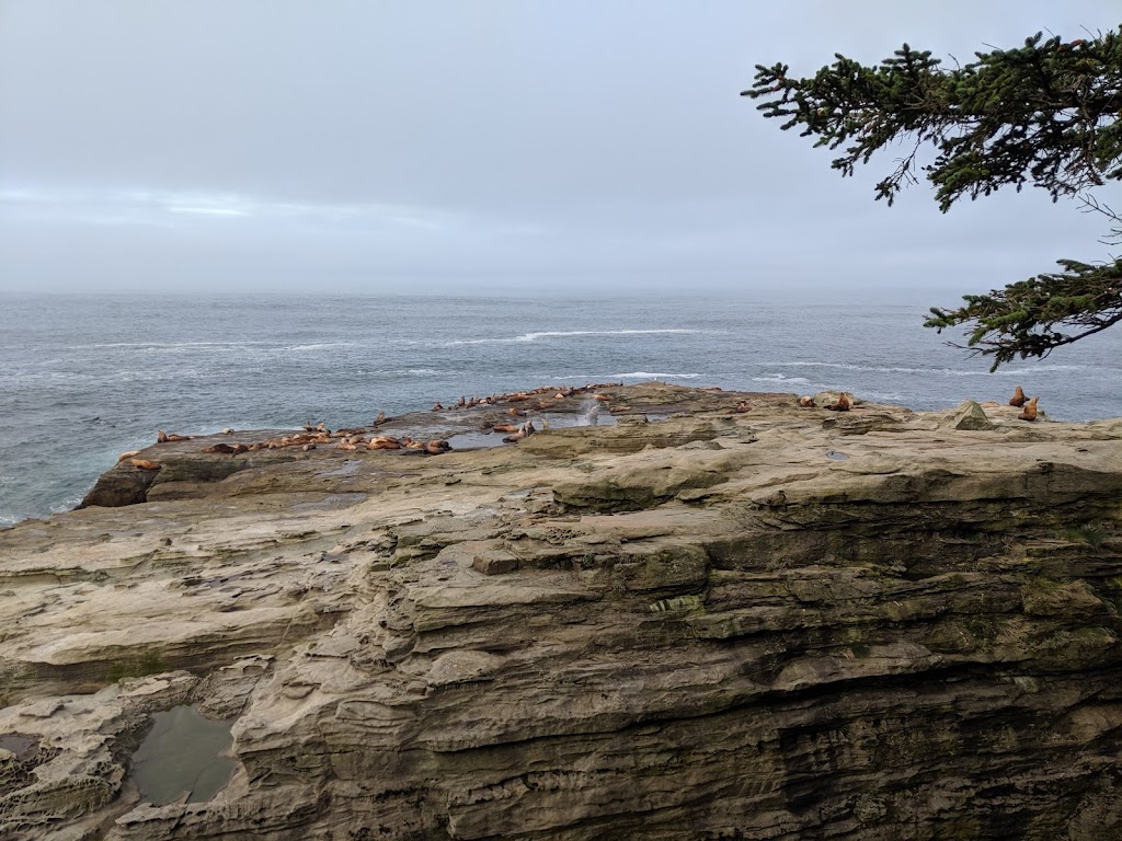 Coastal Bliss Adventures Ltd. | 4865 Bench Rd, Cowichan Bay, BC V0R 1N1, Canada | Phone: (800) 896-9525