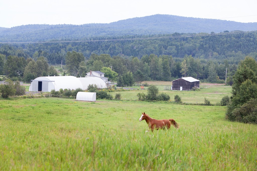 Ferme Lombrette | 578 Avenue Royale, Saint-Tite-des-Caps, QC G0A 4J0, Canada | Phone: (418) 823-2065
