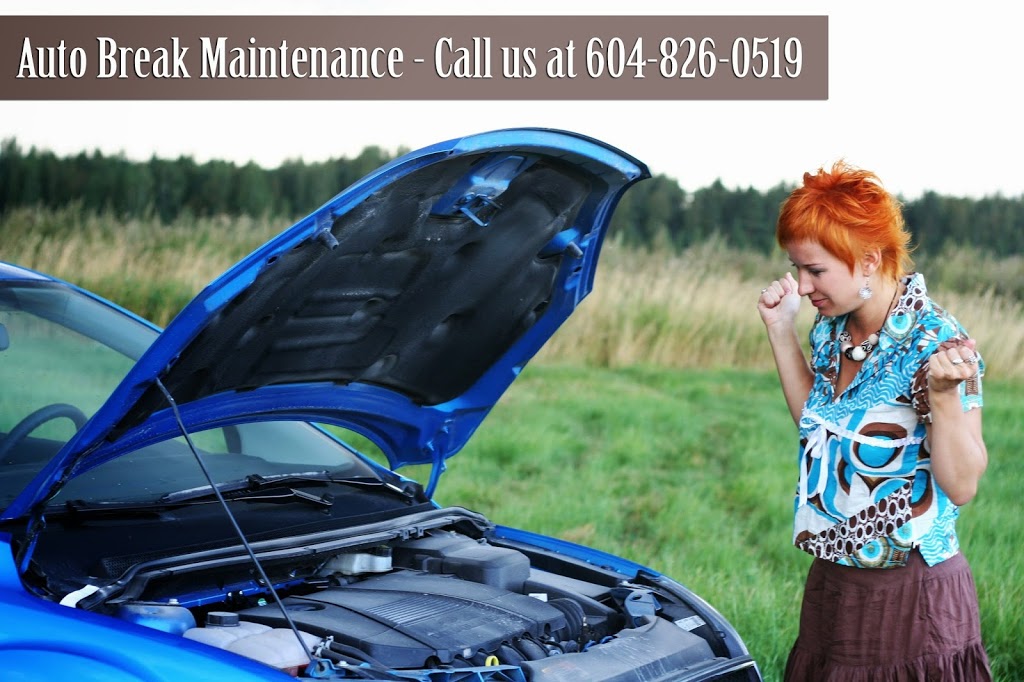 Gerrys Automotive Ltd | 6480 Riverside St, Abbotsford, BC V4X 1T9, Canada | Phone: (604) 826-0519