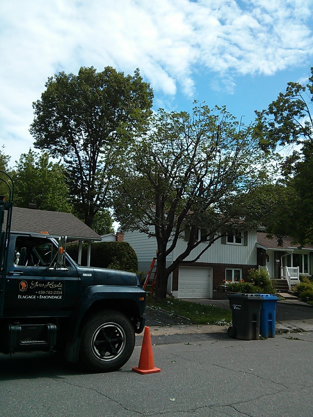 Emondage Yves Houle | 472 Rang N, Sainte-Victoire-de-Sorel, QC J0G 1T0, Canada | Phone: (450) 782-2354