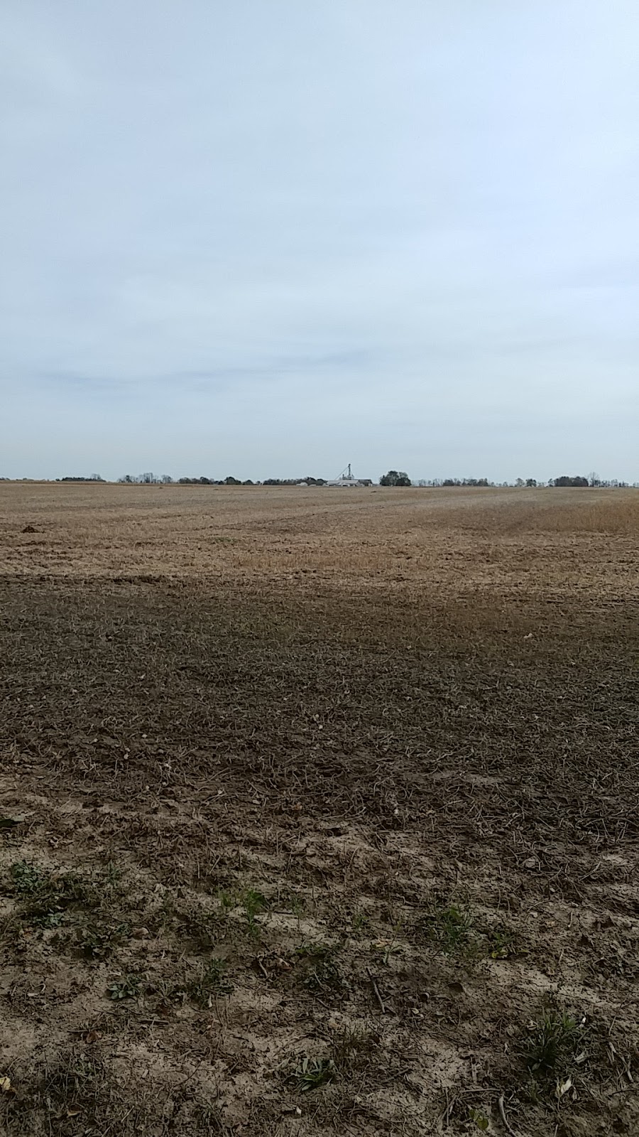 Leedham Farms L.T.D | 615 Front Rd, St Williams, ON N0E 1P0, Canada | Phone: (519) 586-2399