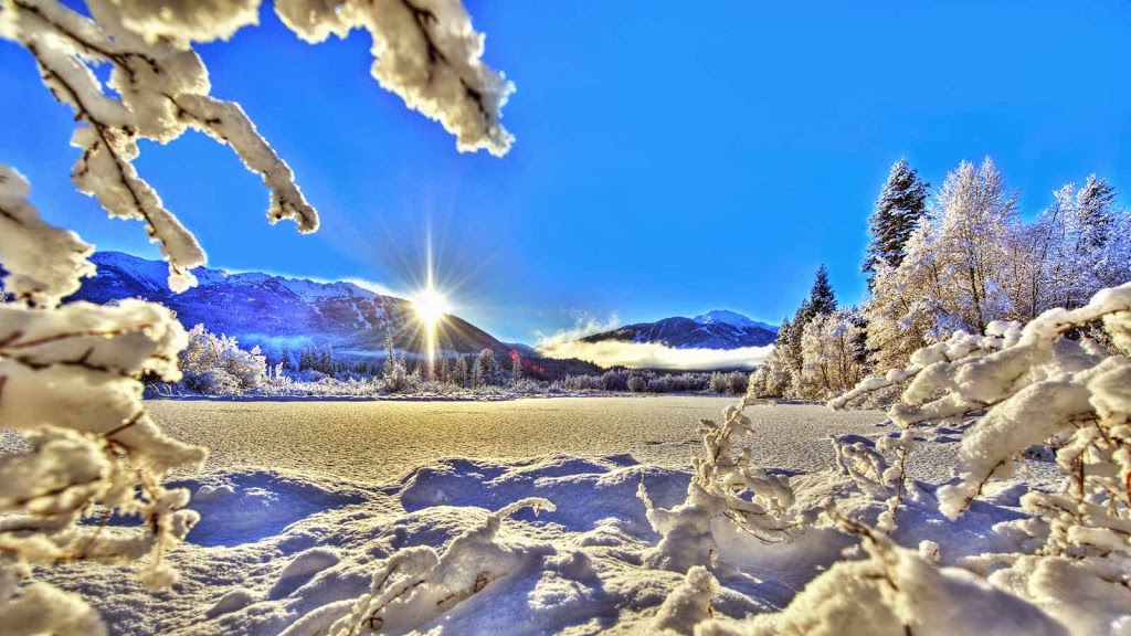 Mountain Country Property Management Ltd | 1010 Alpha Lake Rd #201, Whistler, BC V8E 0S6, Canada | Phone: (604) 932-0677