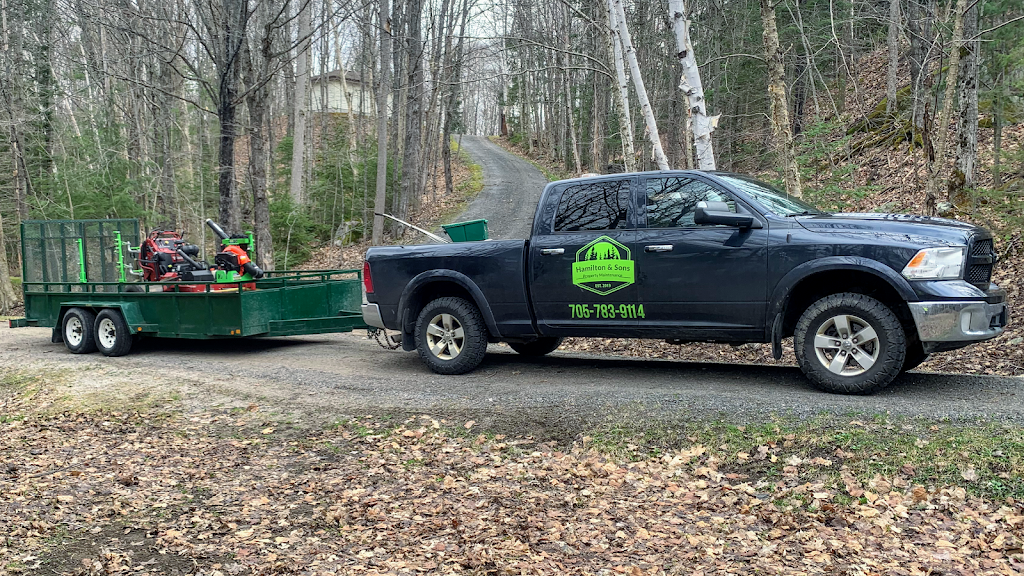 Hamilton & Sons Property Maintenance | 87 Doe Lake Rd, Katrine, ON P0A 1L0, Canada | Phone: (705) 783-9114