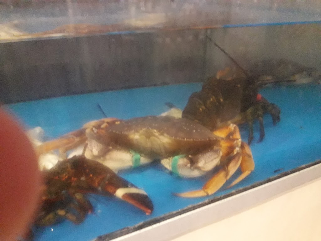 Ocean Village Seafood Restaurant | 20830 Lougheed Hwy, Maple Ridge, BC V2X 2R3, Canada | Phone: (604) 463-3263