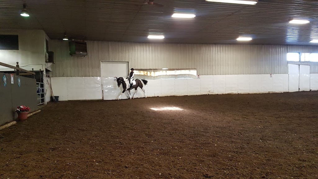 Horizon Equestrian Ctr | Range Rd 43, Cochrane, AB T4C 2J8, Canada | Phone: (403) 542-8677