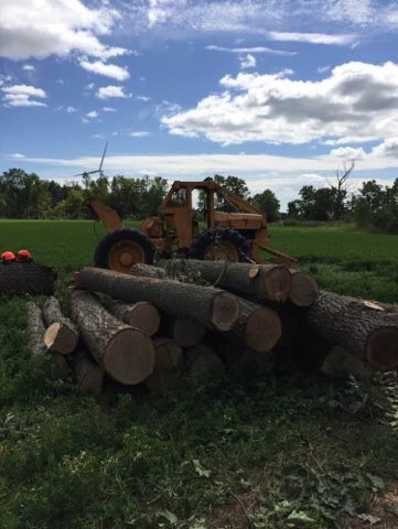 Wilcox Timber Harvesting | 35434 Bullock Rd, Parkhill, ON N0M 2K0, Canada | Phone: (519) 282-1749