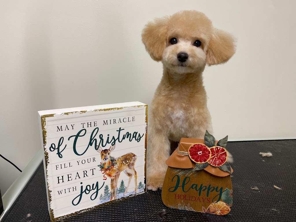 Honey Dog Grooming | 6840 Cedar Rose Ct, Burnaby, BC V5J 5J7, Canada | Phone: (236) 995-6840