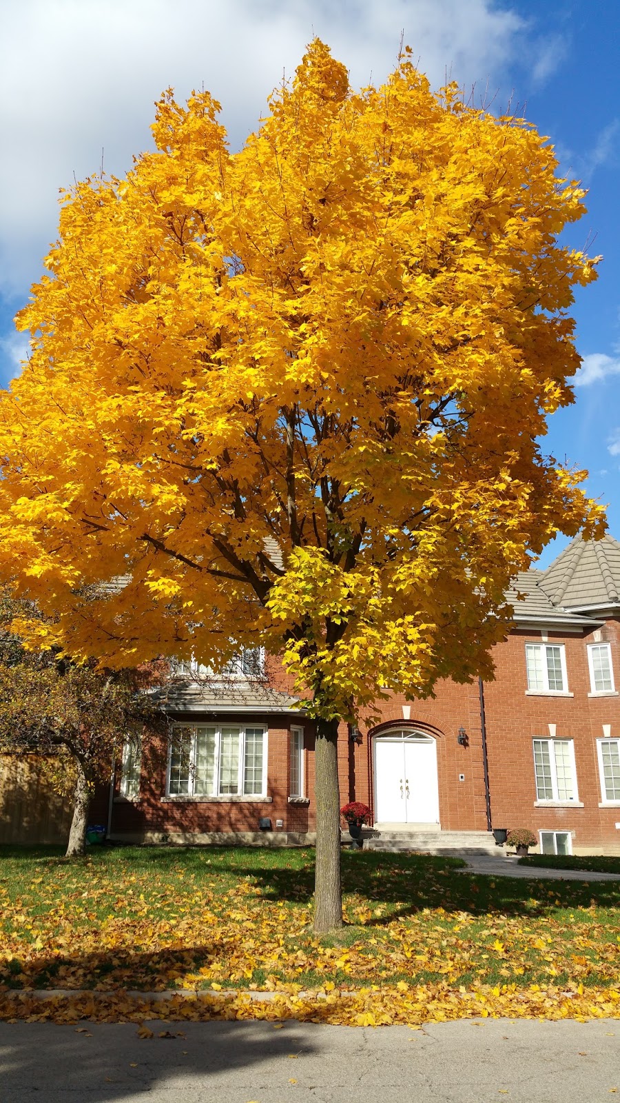 Forest Hill Park | 4995 Forest Hill Dr, Mississauga, ON L5M 5A7, Canada | Phone: (905) 615-4100