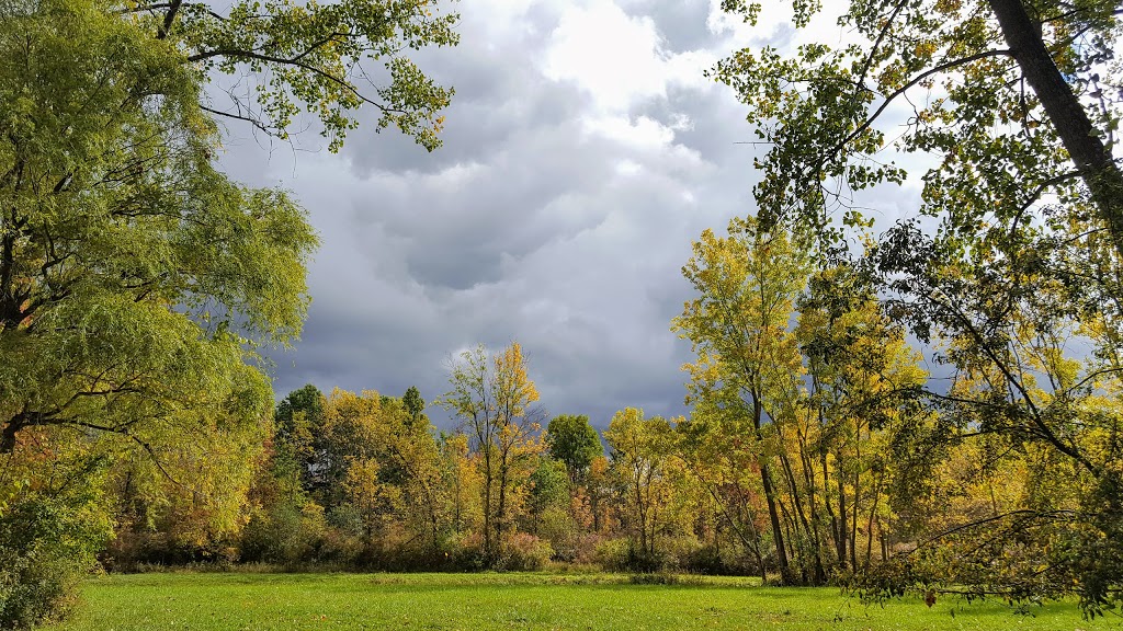 Nature View Park | Amherst, NY 14228, USA