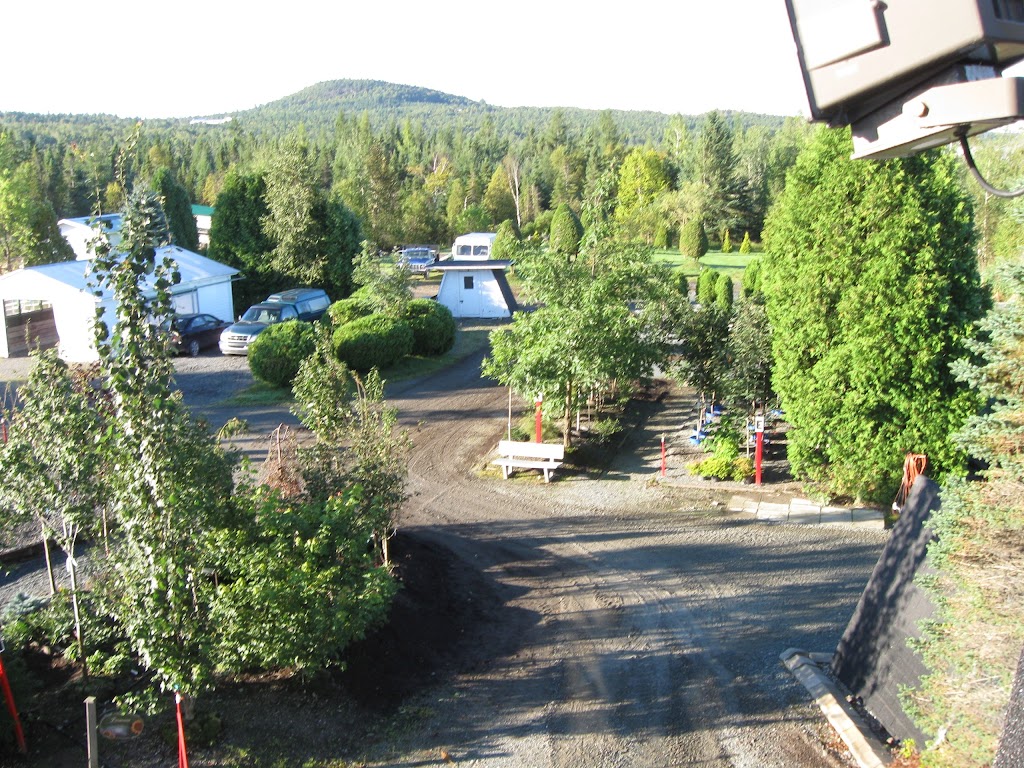 Centre Jardin André Poirier Enr | 860 Rue St Alphonse-Sud, Thetford Mines, QC G6G 5R9, Canada | Phone: (418) 338-0290