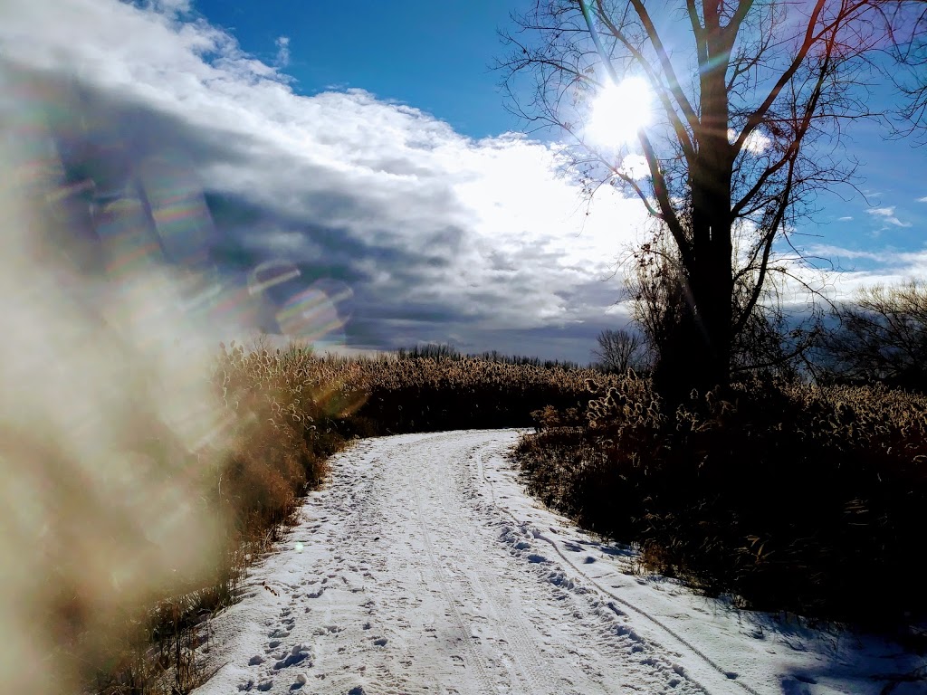 Parc national des Îles-de-Boucherville | 55 Île Sainte Marguerite, Boucherville, QC J4B 5J6, Canada | Phone: (450) 928-5088