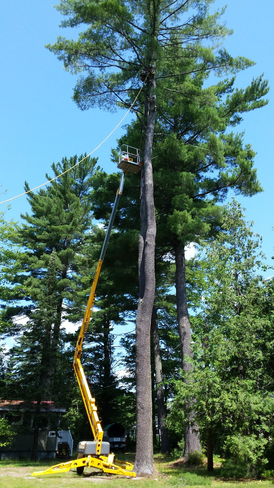 ÉMONDAGE ÉLITE | 3 Ch du Ruisseau, Mandeville, QC J0K 1L0, Canada | Phone: (450) 835-3781