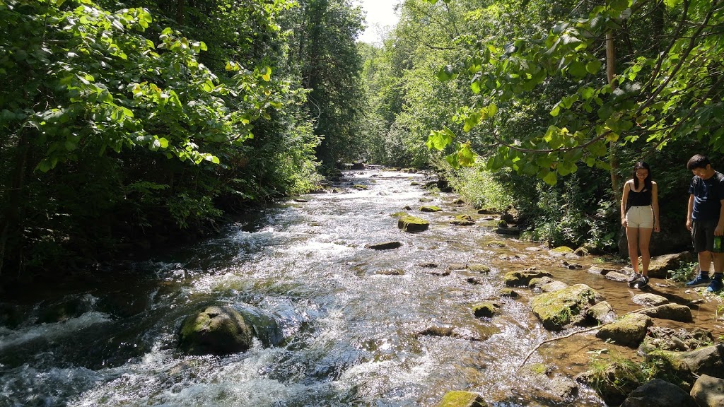 Rouge Valley Conservation Centre | 1749 Meadowvale Rd, Scarborough, ON M1B 5W8, Canada | Phone: (416) 282-8265