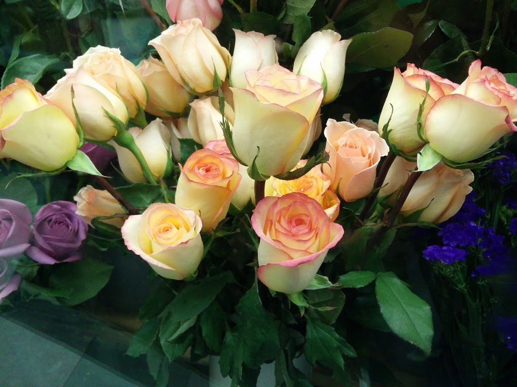 Toronto Florists 4913 Bathurst St, North York, ON M2R 1X8, Canada