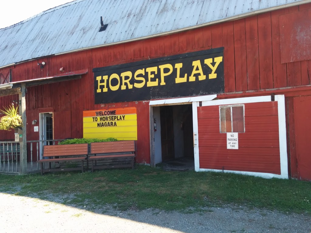 HorsePlay Niagara | 11061 Ellsworth Rd N, Port Colborne, ON L3K 5V4, Canada | Phone: (905) 834-2380