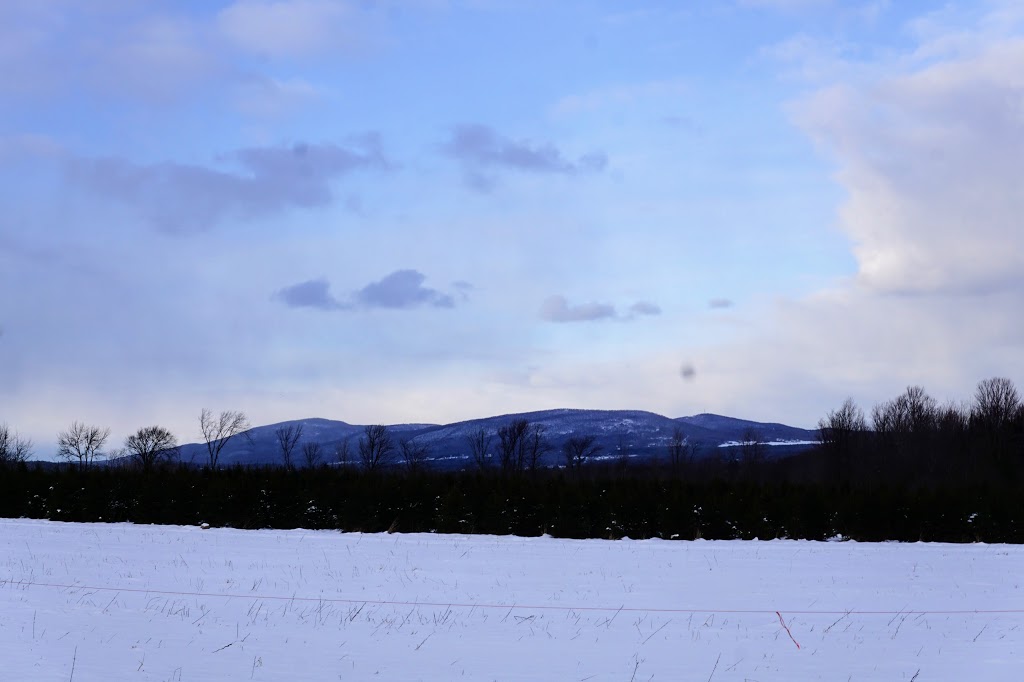 Sapin de Noël, producteur darbre de Noël, Plantation Bernier. | 297 Chemin Brome, Fulford, QC J0E 1S0, Canada | Phone: (450) 534-2417