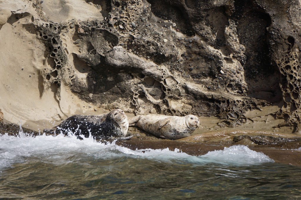 Patos Island State Park | Eastsound, WA 98245, USA