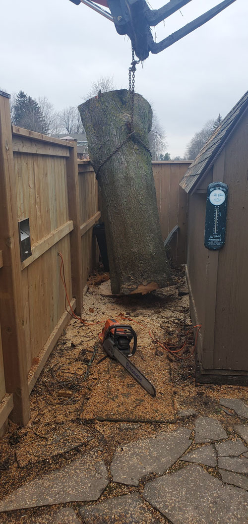 Spruce Green Tree Service | 5554 ON-23, Harriston, ON N0G 1Z0, Canada | Phone: (519) 638-0121