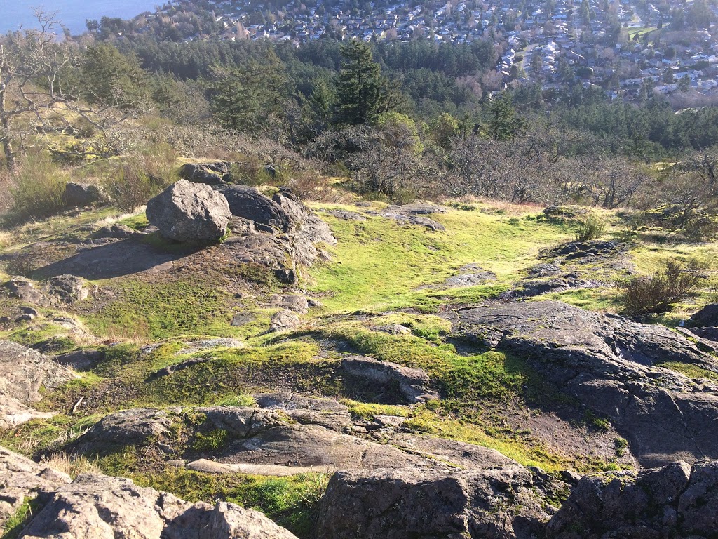 Mount Douglas Park | 4500 Cedar Hill Rd, Victoria, BC, Canada | Phone: (250) 475-5522