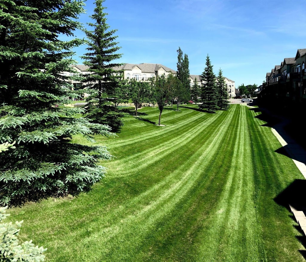 Oceania landscaping Ltd | 453 Martindale Blvd NE A, Calgary, AB T3J 3M8, Canada | Phone: (587) 582-7519