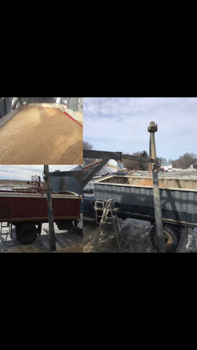 M-3 Ag Services | 205 3 Ave E, Elrose, SK S0L 0Z0, Canada | Phone: (306) 378-7854