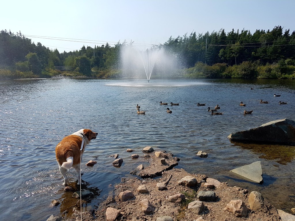 Mount Pearl Dog Park | 43 Clyde Ave, Mount Pearl, NL A1N 4S2, Canada | Phone: (709) 748-1047