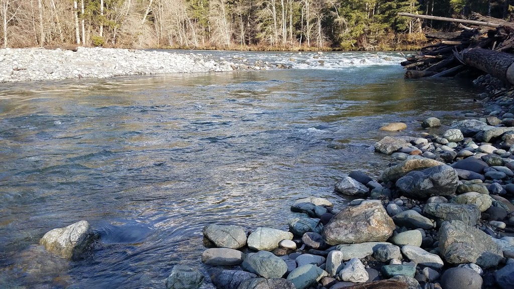 Baker-Snoqualmie National Forest | WA-542, Deming, WA 98244, USA | Phone: (800) 627-0062