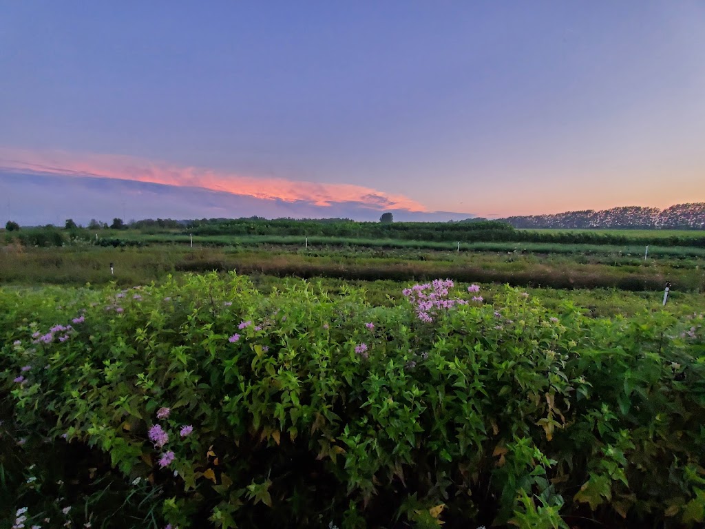 Stoeckli Organics | RR5, Kincardine, ON N2Z 2X6, Canada | Phone: (519) 396-8750
