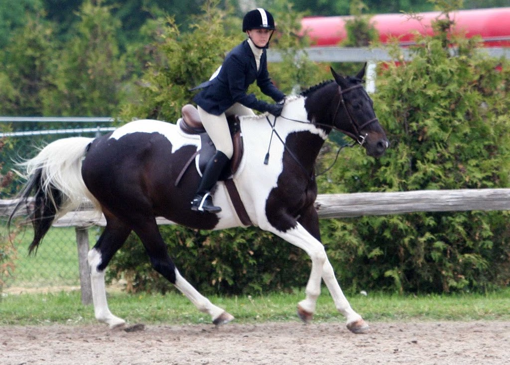 Owlstone Equestrian Center | 669 Foxboro Stirling Rd, Foxboro, ON K0K 2B0, Canada | Phone: (613) 813-9225