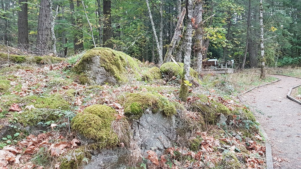 Francis King Regional Park - Main Parking Lot | Munn Rd, Saanich, BC V9E, Canada