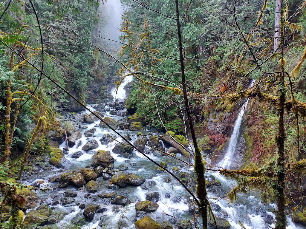 Rosewall Creek Provincial Park | BC-19, Fanny Bay, BC V0R 1W0, Canada | Phone: (250) 474-1336