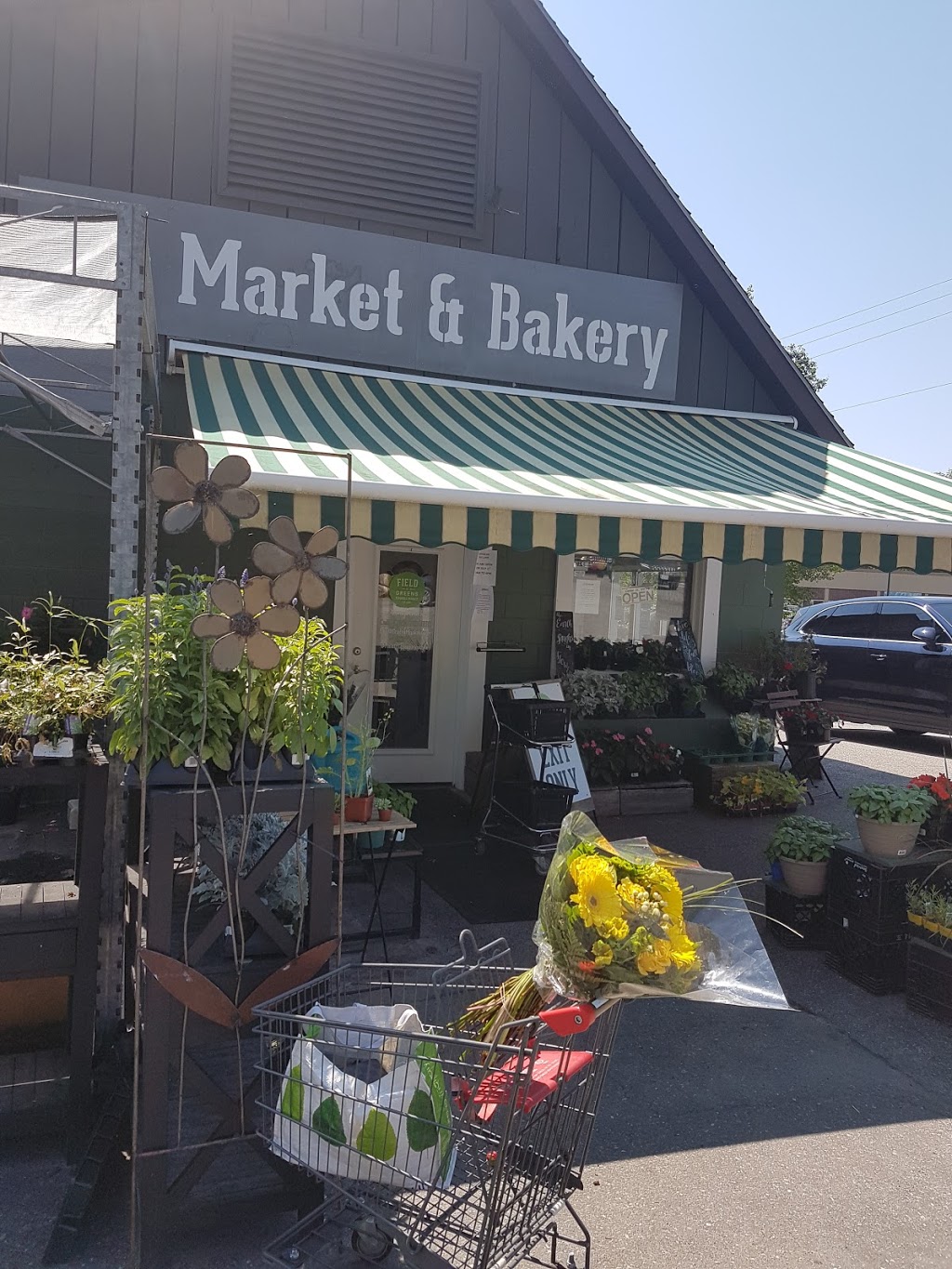 Field Of Greens | 1 Bruce wilson drive, Port Carling, ON P0B 1J0, Canada | Phone: (705) 765-1895