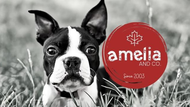 Amelia & Co. | 1705 Villa Nova Rd, Wilsonville, ON N0E 1Z0, Canada | Phone: (519) 771-9995