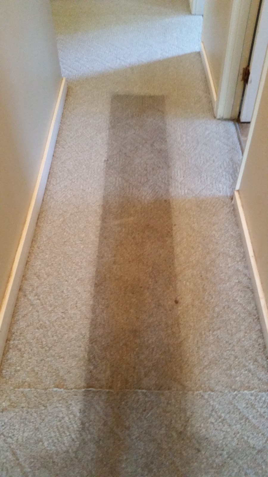 Lower Mainland Carpet Cleaning | 31483 Legacy Ct, Abbotsford, BC V2T 6W5, Canada | Phone: (604) 857-2727