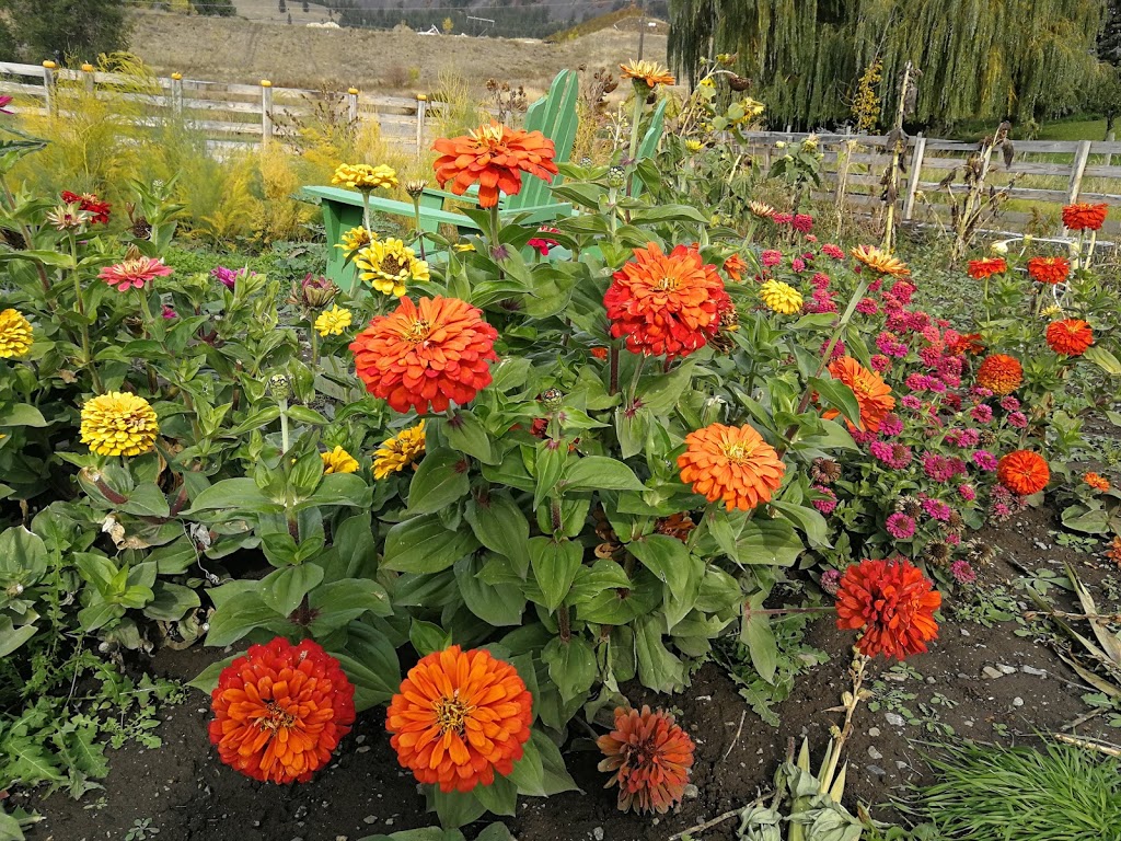 The Herb Patch | 1850 Brentwood Rd, Kelowna, BC V1P 1H2, Canada