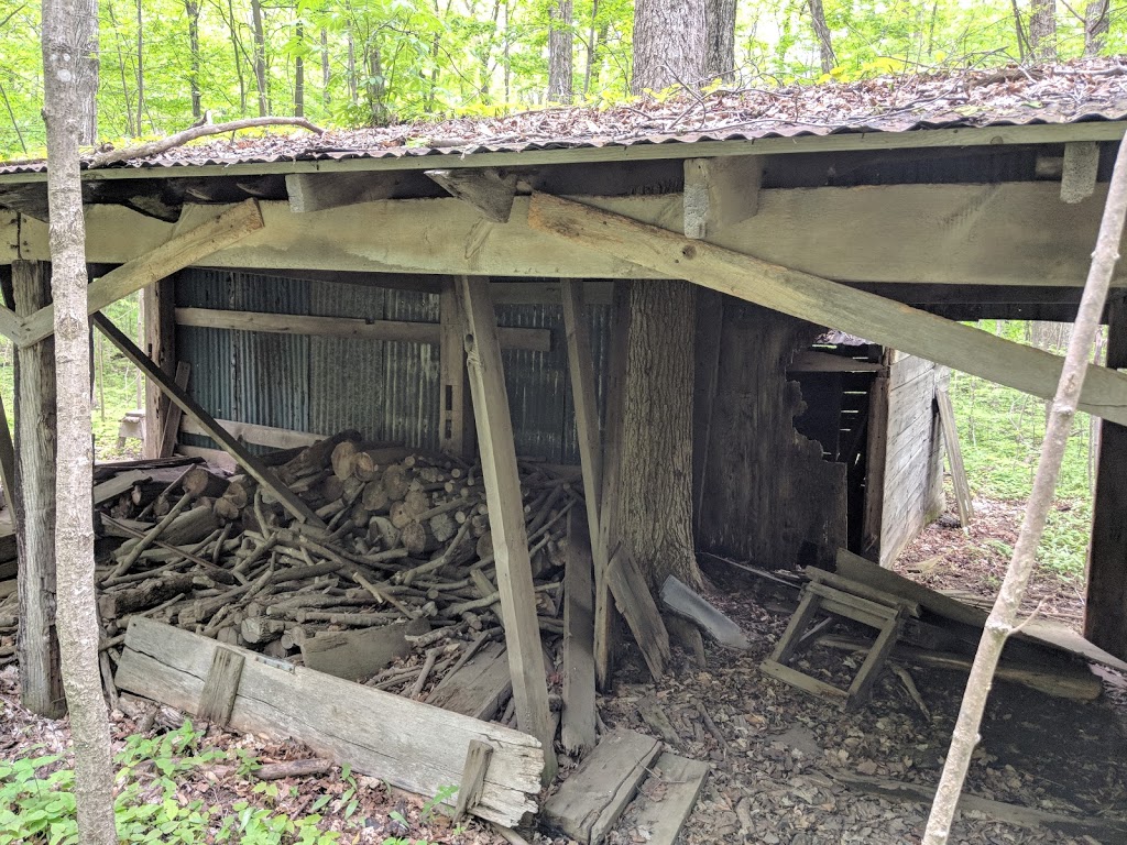 Walker Woods | New Hamburg, ON N3A 0A3, Canada