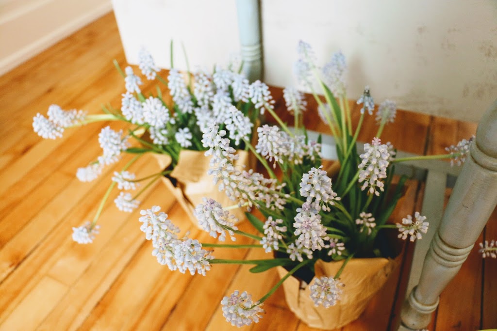 Le Jardin Flower Shop | 24 Queen St W, Cambridge, ON N3C 1G1, Canada | Phone: (226) 600-2559