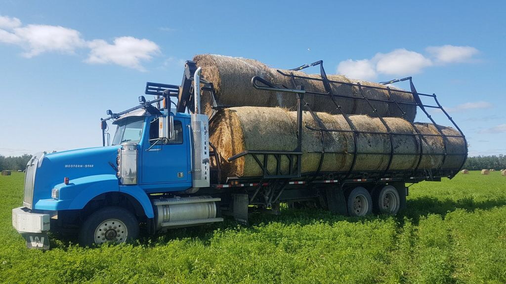 Golden View Fabricating Ltd. | Toporoutz Rd, Smoky Lake, AB T0A 3C0, Canada | Phone: (306) 740-7771