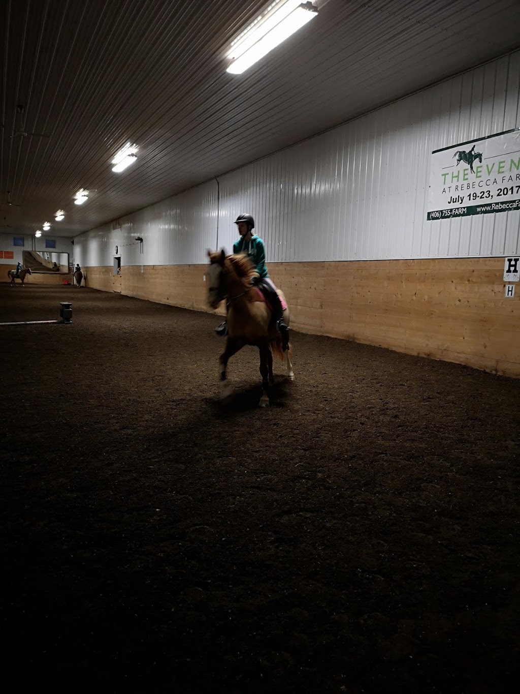Extreme Stables | 23529 AB-605, Tees, AB T0C 2N0, Canada | Phone: (403) 783-3004