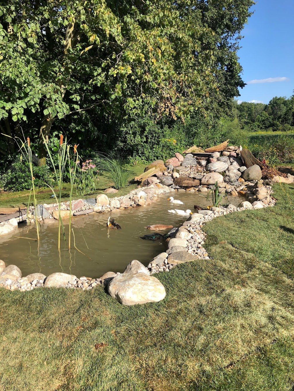 Higher Ground Excavation & Construction | 7224 32nd side road, Acton, ON L7J 2L9, Canada | Phone: (519) 803-3933