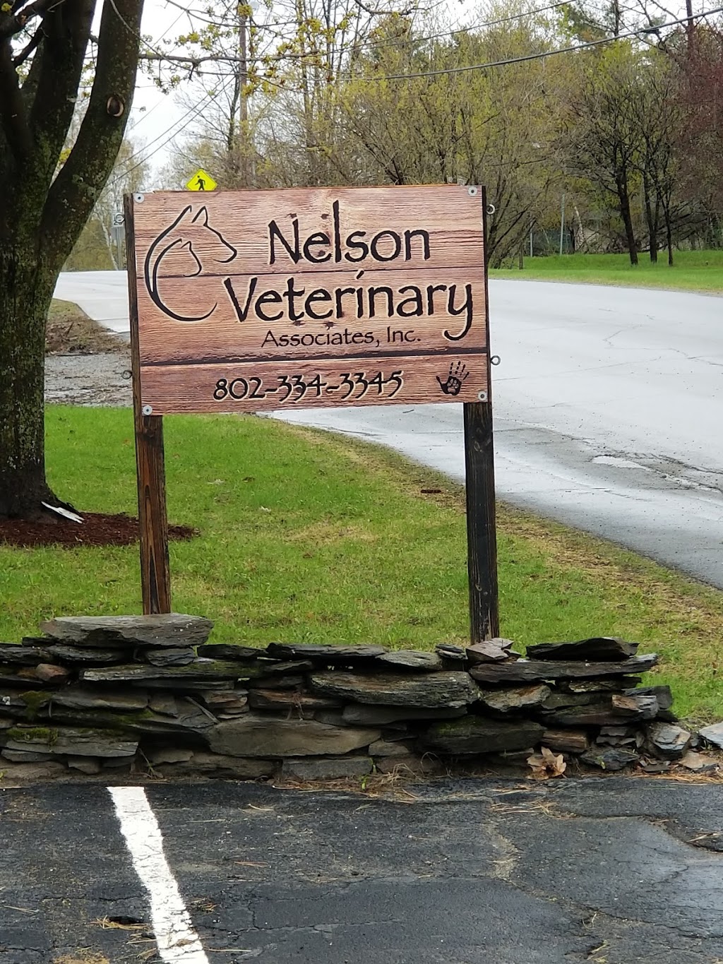 nelson veterinary associates | 378 Prouty Dr, Newport, VT 05855, USA | Phone: (802) 334-3345
