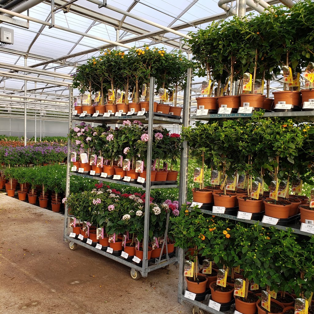 Dutch Flower House | 1214 Concession 7 Rd, Niagara-on-the-Lake, ON L0S 1J0, Canada | Phone: (905) 684-0600