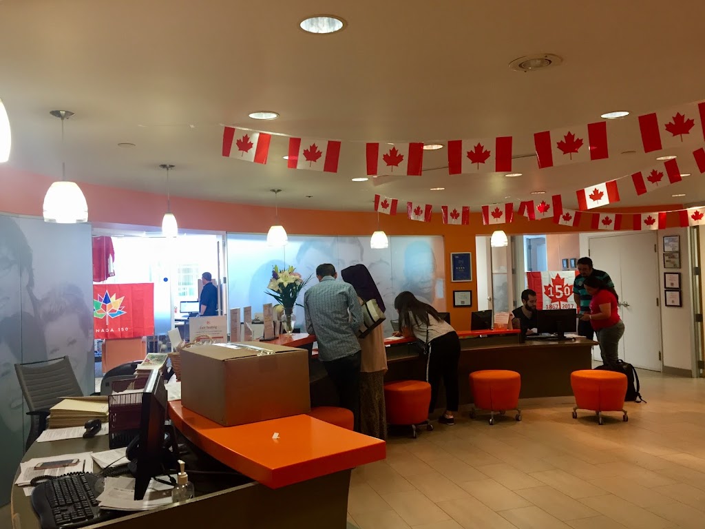 Alaia Education | 66 Dewberry Dr, Kitchener, ON N2B 0A9, Canada | Phone: (647) 700-5691