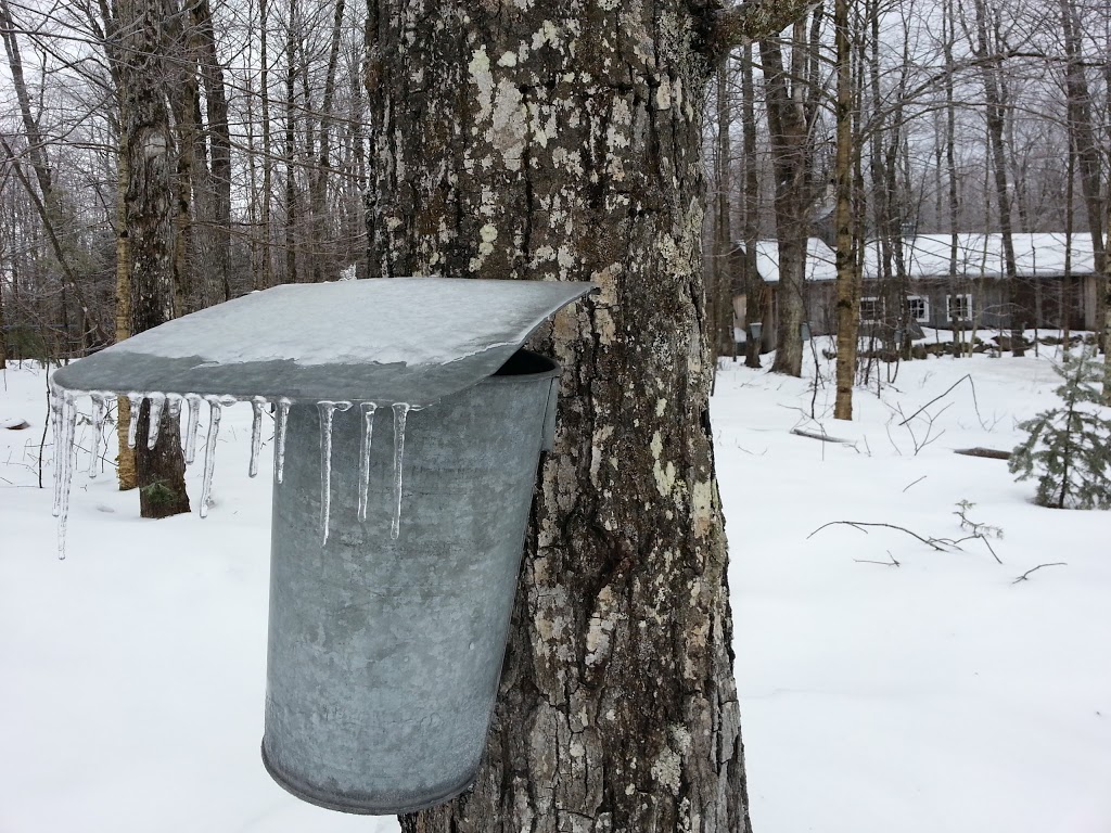 Cabane à Sucre Bellavance inc. | 733 Chemin Bellavance, Sainte-Cécile-de-Whitton, QC G0Y 1J0, Canada | Phone: (819) 583-0441