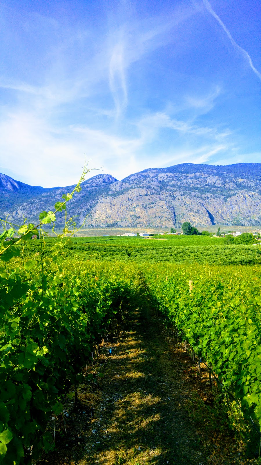 Shell | 9121 92 Ave, Osoyoos, BC V0H 1V0, Canada | Phone: (250) 495-7084