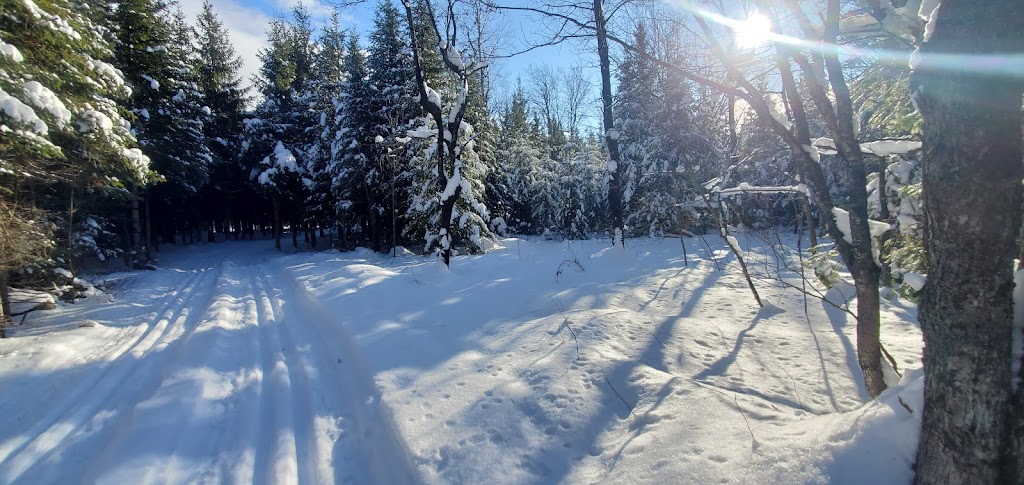 Club de Ski de fond de lOr Blanc | 3129 Rue Bégin, Thetford Mines, QC G6H 2E5, Canada | Phone: (418) 334-8259