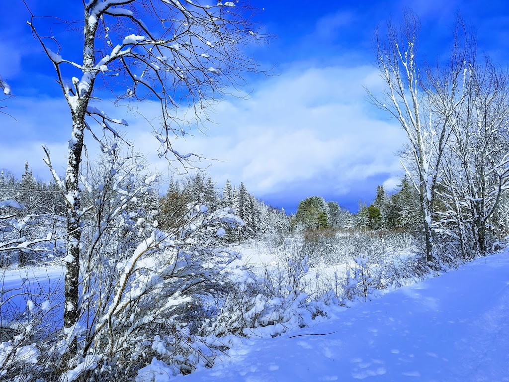 Haliburton County Rail Trail | Haliburton County Rail Trail, Haliburton, ON K0M, Canada | Phone: (705) 286-1762