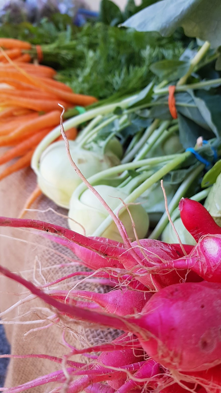 DC Harvest | 2782 Wilcox Rd, Powell River, BC V8A 0P3, Canada | Phone: (604) 414-8780